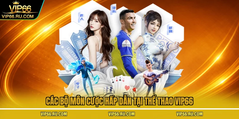 Các bộ môn cược hấp dẫn tại thể thao VIP66