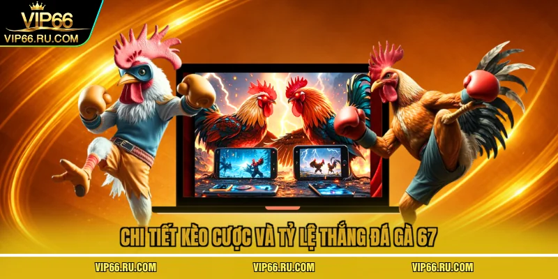 Chi tiết kèo cược và tỷ lệ thắng đá gà 67