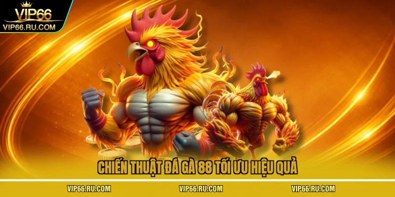 Chiến thuật đá gà 88 tối ưu hiệu quả