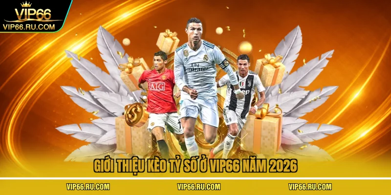 Giới thiệu kèo tỷ số ở VIP66 năm 2026