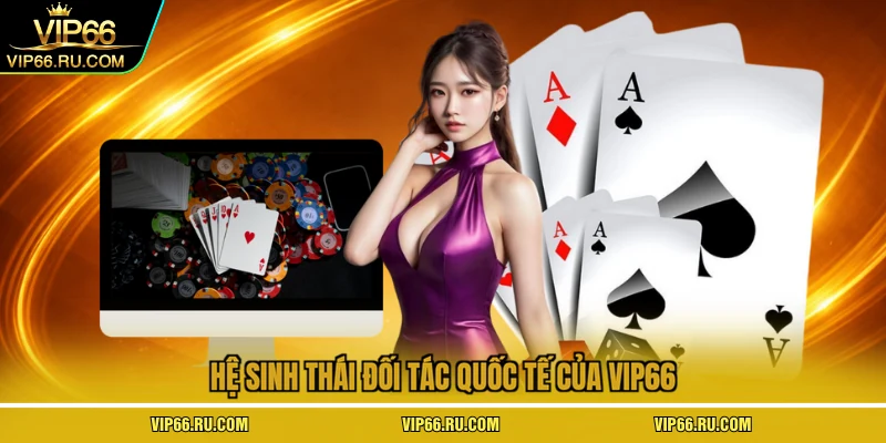 Hệ sinh thái đối tác quốc tế của VIP66