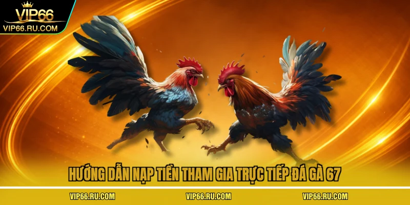 Hướng dẫn nạp tiền tham gia trực tiếp đá gà 67