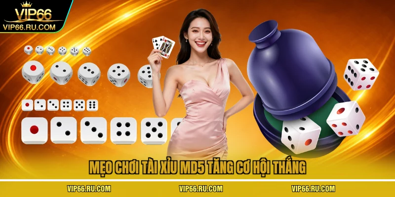 Mẹo chơi tài xỉu md5 tăng cơ hội thắng