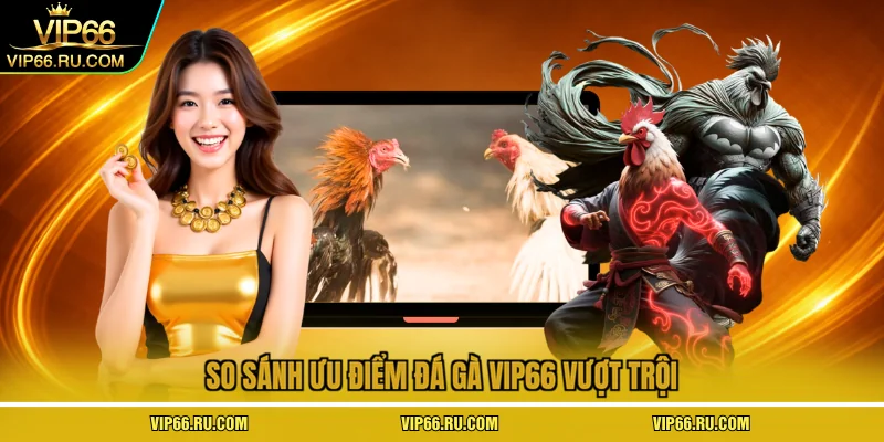 So sánh ưu điểm đá gà VIP66 vượt trội