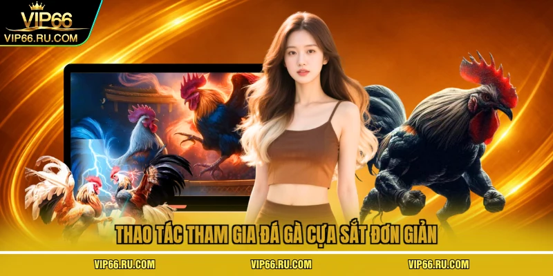 Thao tác tham gia đá gà cựa sắt đơn giản