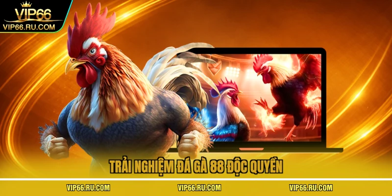 Trải nghiệm đá gà 88 độc quyền 