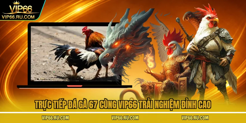 trực tiếp đá gà 67